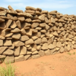 ancient-honeycomb-stone-walls-slash-erosion-and-boost-sorghum-yields-in-benin