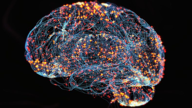 microprotein-atlas-links-brain-immune-cell-dysfunction-to-alzheimer’s