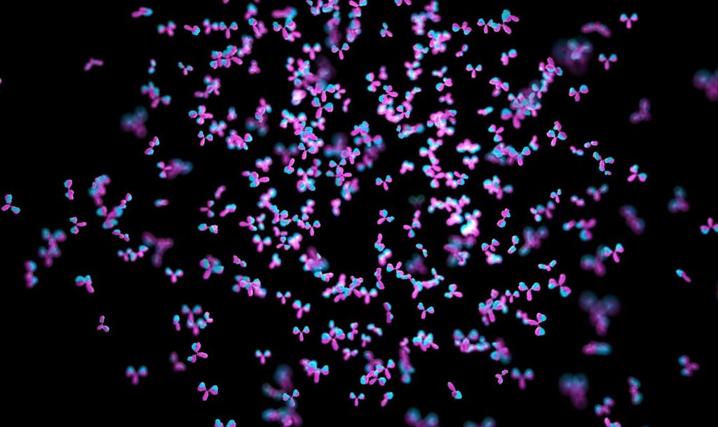 choice-of-excipients-dramatically-affects-antibody-solubility