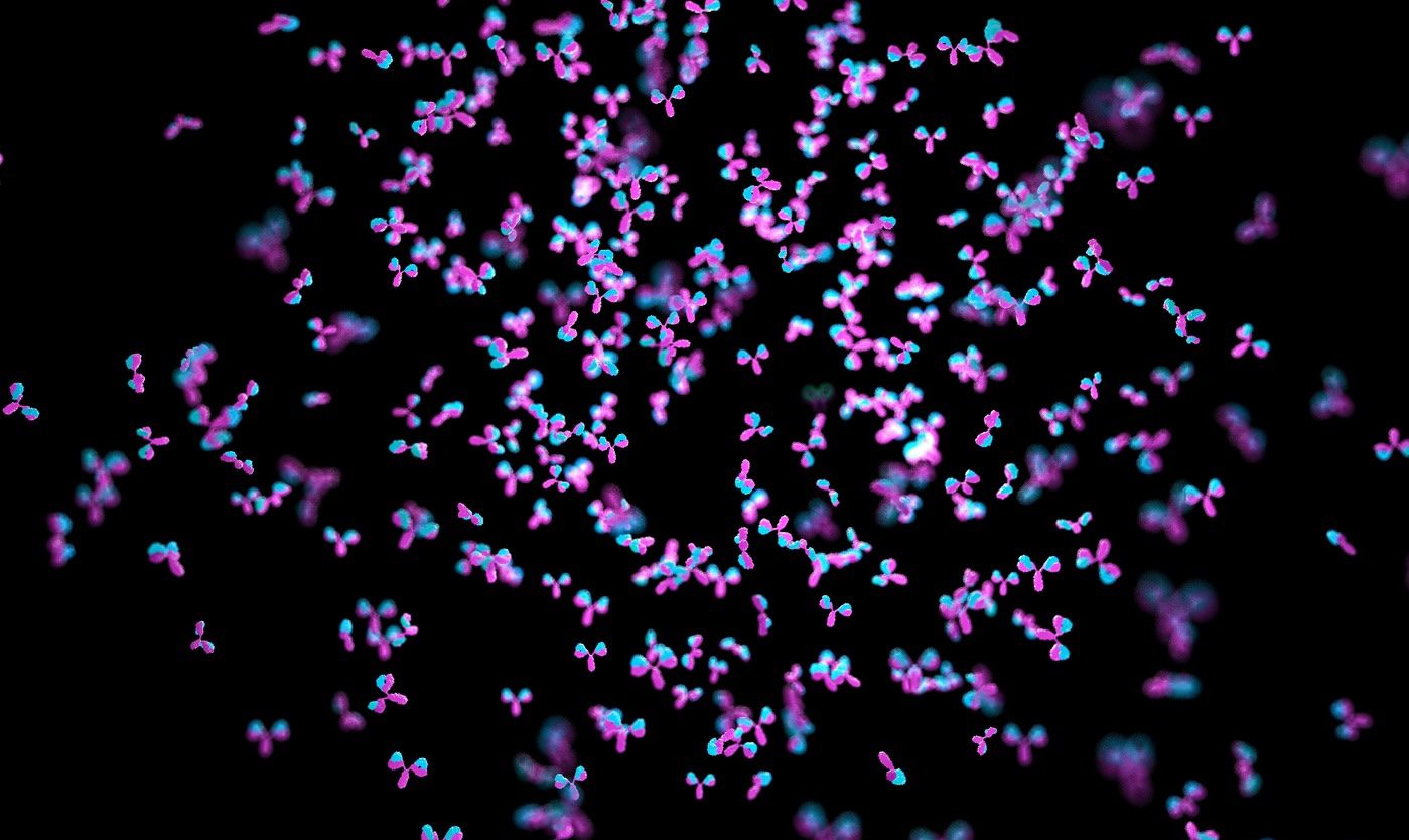 choice-of-excipients-dramatically-affects-antibody-solubility