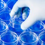 sartorius-and-nibrt-partner-on-intensified-and-continuous-bioprocessing-training-center