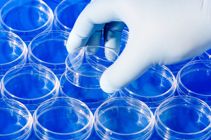 sartorius-and-nibrt-partner-on-intensified-and-continuous-bioprocessing-training-center