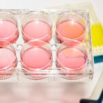 gbi-biomanufacturing-set-to-launch-smartscale-gmp-solutions