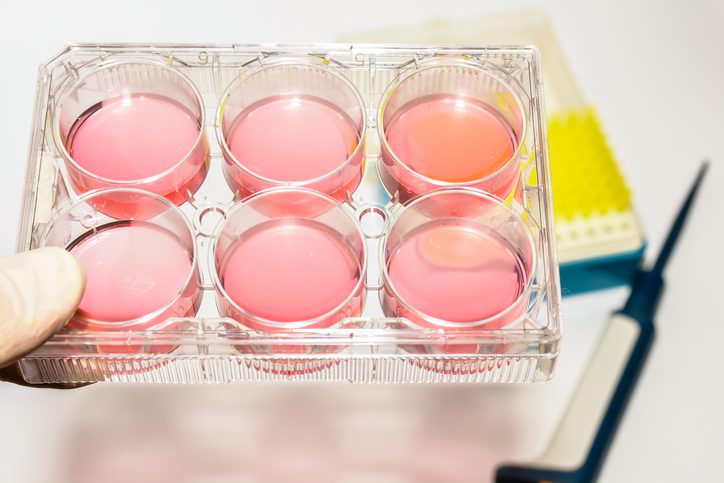 gbi-biomanufacturing-set-to-launch-smartscale-gmp-solutions