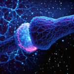 palomar-labs-spins-out-ariadne-bio-to-advance-non-hallucinogenic-therapy-for-parkinson’s-apathy