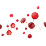 blood-proteins-and-metabolites-tracked-over-a-decade-reveal-new-drivers-of-metabolic-health