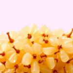 bioplastic-from-sugarcane-waste:-scientists-perfect-the-math-of-microbial-phb-production