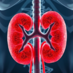 bile-acids-show-surprising-spike-in-early-diabetic-kidney-disease,-study-finds