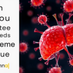 which-fat-you-eat-may-steer-immune-cells-that-drive-liver-scarring