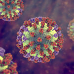 h5n1-spreads-among-australian-wildlife-as-flu-season-ramps-up