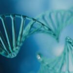 andelyn-curator-biomanufacturing-platform-supports-fayuvi-gene-therapy-approval
