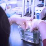 best-practices-for-establishing-data-integrity-in-western-blotting