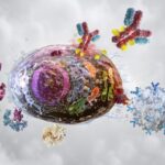 cell-senescence-‘barcodes’-identified-with-raman-microscopy-and-gene-expression-data
