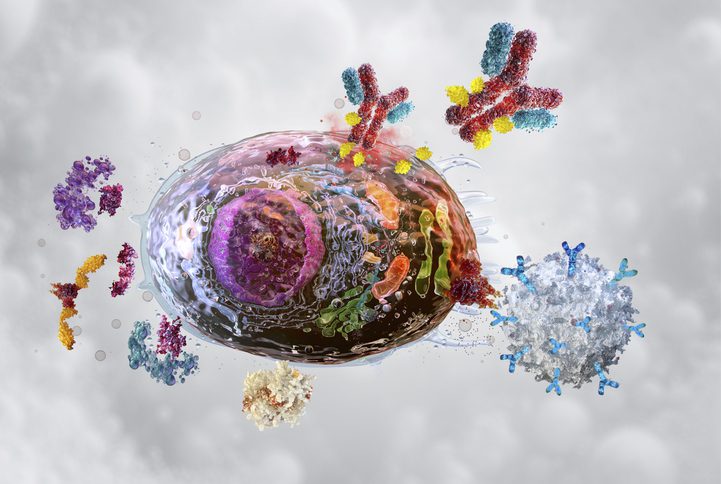 cell-senescence-‘barcodes’-identified-with-raman-microscopy-and-gene-expression-data