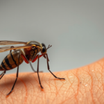 malaria’s-quiet-threat:-plasmodium-vivax-now-drives-most-severe-cases-in-central-ethiopia