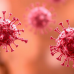 sugar-signature-reveals-which-tumor-fighting-t-cells-are-most-vulnerable