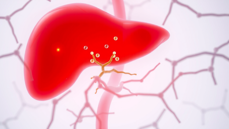 immunotherapy-reshapes-advanced-liver-cancer-care-in-europe,-but-access-lags-behind