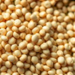 hidden-microbes-inside-mung-bean-show-striking-stress-tolerance-and-fungal-fighting-power