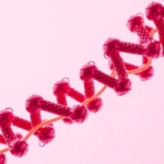 locked-and-loaded:-structural-studies-reveal-how-the-screw-peptide-engages-its-nut-receptor