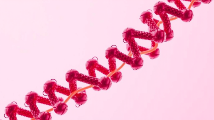 locked-and-loaded:-structural-studies-reveal-how-the-screw-peptide-engages-its-nut-receptor