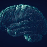 apoe4-linked-to-potentially-reversible-mechanisms-of-brain-blood-vessel-damage-in-alzheimer’s