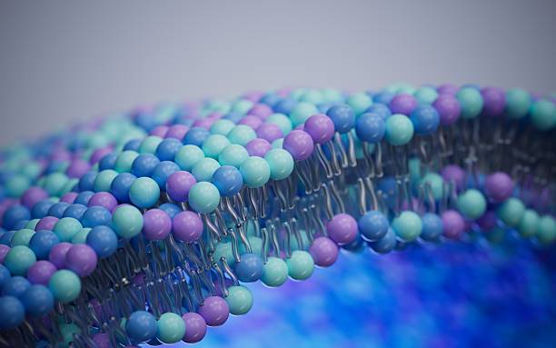 adarx-scores-upsized-$446m-ipo,-while-fellow-rna-biotech-city-maps-out-nasdaq-plans