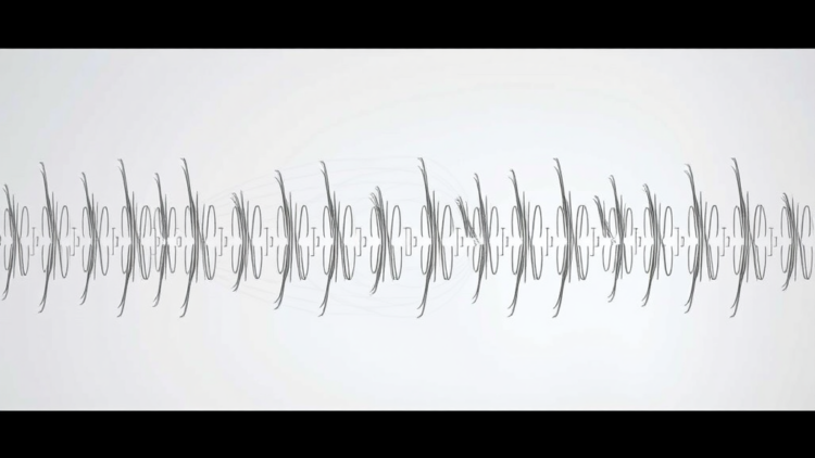 transposon-tool-maps-the-essential-genes-of-diverse-phages