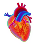 two-molecular-heart-failure-types-revealed-by-deep-protein-maps-of-the-failing-heart