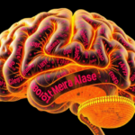 spatial-hi-c-maps-3d-genome-folding-directly-inside-brain-tissue