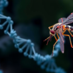 gene-networks-point-to-interferon-decline-as-driver-of-severe-dengue-in-india