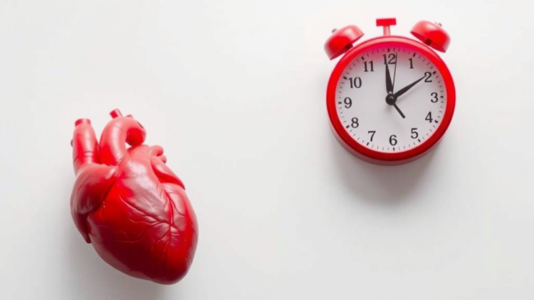 exercise-rejuvenates-aging-hearts-and-clocks-through-a-single-muscle-gene