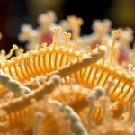 overlapping-genes-evolve-by-different-rules-in-bacteria-and-complex-life