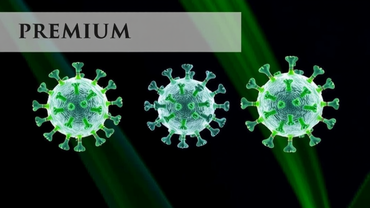 crispr-cas13-test-spots-three-quarantine-sugarcane-viruses-without-amplification