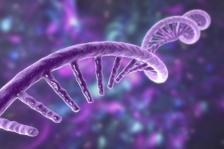 viral-protein-helps-self-amplifying-rna-overcome-cellular-defenses