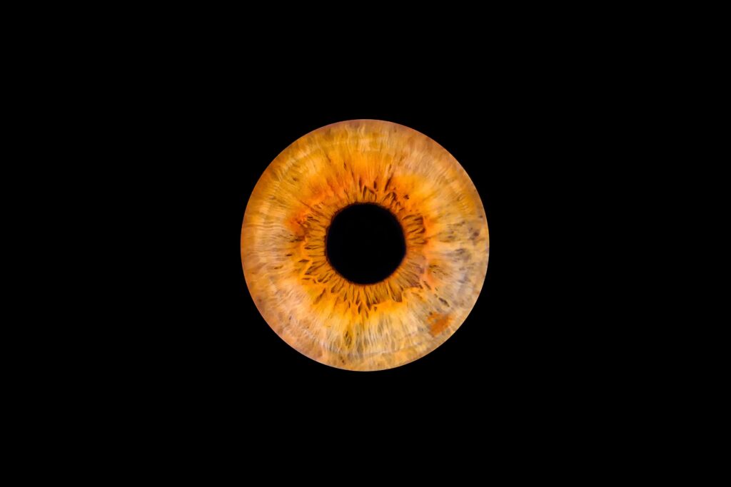 kodiak’s-stock-doubles-as-resurrected-eye-disease-drug-matches-eylea-in-phase-3