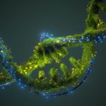 scientists-observe-enzymes-breaking-down-dna-in-real-time