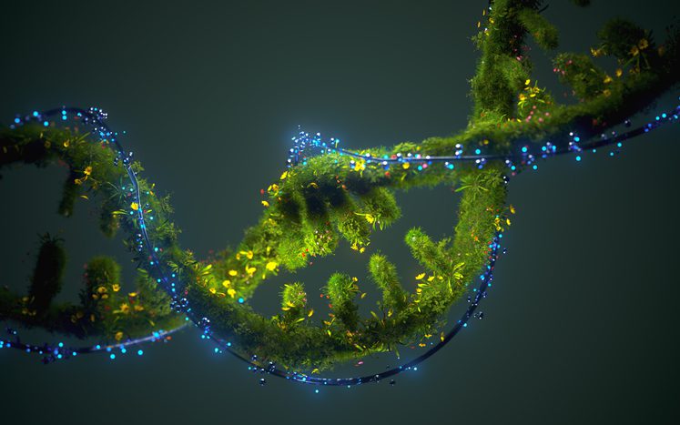 scientists-observe-enzymes-breaking-down-dna-in-real-time