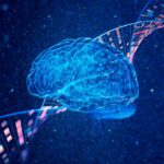 ai-tool-helps-link-brsk1-variants-to-neurodevelopmental-disorder