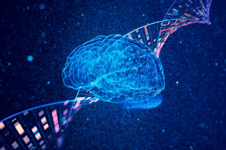 ai-tool-helps-link-brsk1-variants-to-neurodevelopmental-disorder