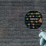 how-cells-respond-differently-to-a-cancer-causing-gene