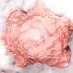 advancing-brain-organoids-from-research-models-to-scalable-platforms