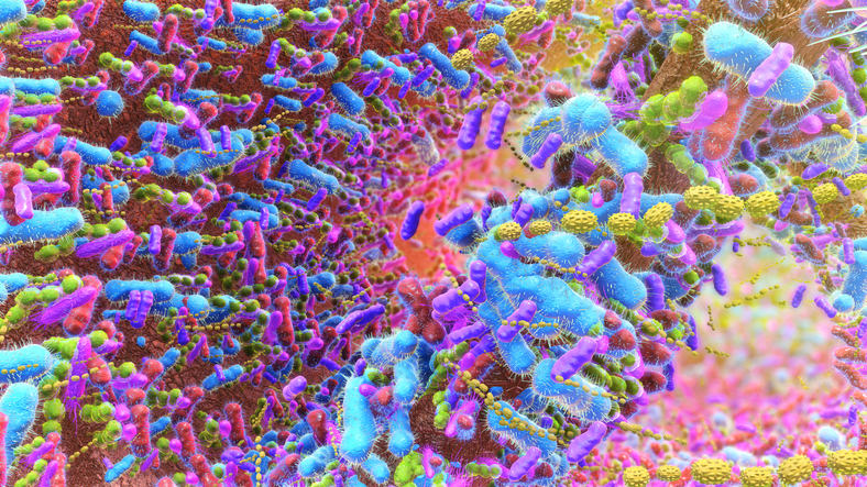 microbiome-patterns-vary-among-individuals-with-different-cancer-types-and-onset-age