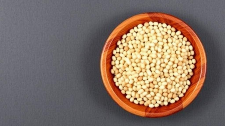 gut-microbes-hold-the-key-to-unlocking-soy’s-health-benefits,-review-finds