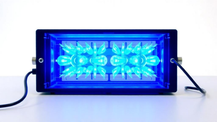 a-two-minute-voltage-test-could-reveal-hidden-flaws-in-hydrogen-electrolyzers