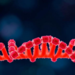 tiny-genetic-regulators-go-awry-in-rare-dna-repair-disorder,-study-finds