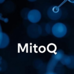 mitoq:-the-mitochondria-targeted-antioxidant-that-could-slow-aging