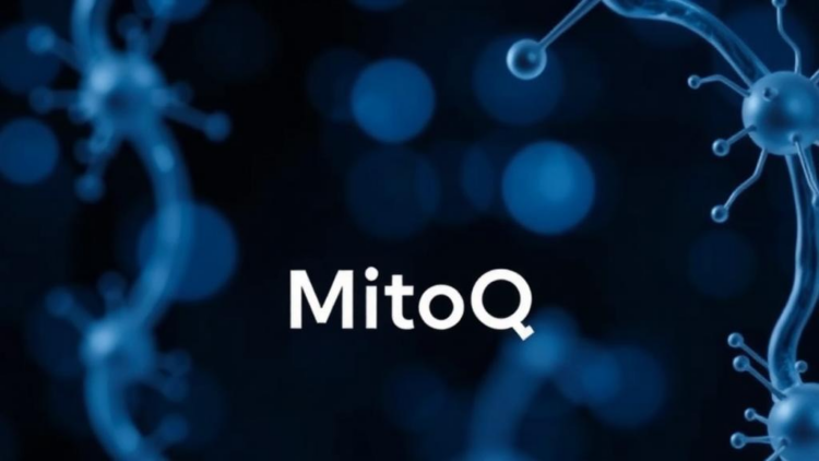 mitoq:-the-mitochondria-targeted-antioxidant-that-could-slow-aging