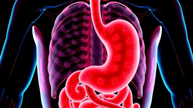 when-gastric-cancer-vanishes-before-surgery:-new-study-maps-who-beats-the-odds