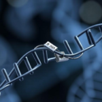 chemical-tags-on-rna-hold-the-switch-that-decides-whether-cells-die-of-iron
