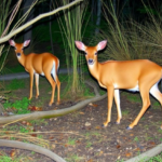 deep-learning-turns-millions-of-wildlife-camera-trap-images-into-conservation-action